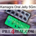 Kamagra Oral Jelly 5Gm new04